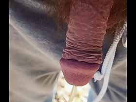 Pissing back the forest on a vacant but sunny make obsolete